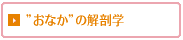 ���Ȃ��̉�U�w