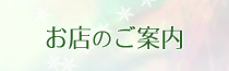 �X�܏Љ�